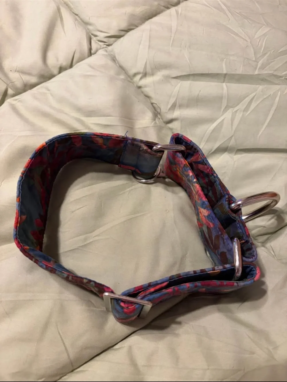 Two 2” martingale colors and 4’ leash.  14-18” neck. Greyhound or whippet.  New